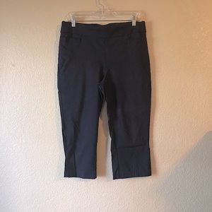 EUC Briggs NY Capri Pants